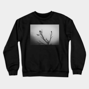 A perch in the mist Crewneck Sweatshirt